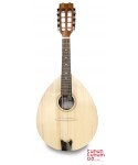 Mandolin APC MDL33 305 - 2