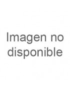 Varios pedagogía viento
